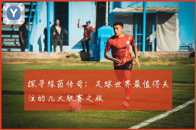 探寻绿茵传奇：足球世界最值得关注的几大联赛之旅