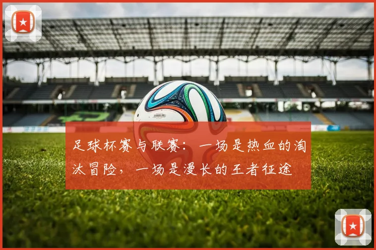 足球杯赛与联赛：一场是热血的淘汰冒险，一场是漫长的王者征途