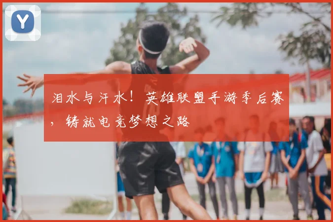 泪水与汗水!英雄联盟手游季后赛,铸就电竞梦想之路