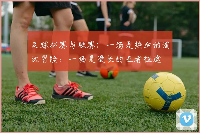 足球杯赛与联赛：一场是热血的淘汰冒险，一场是漫长的王者征途